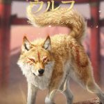 【ウルフゲーム】レベル上げの効率良いやり方を紹介!