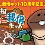 元祖なめこ栽培キット完全レビュー!可愛さと楽しさ2倍の放置育成ゲーム